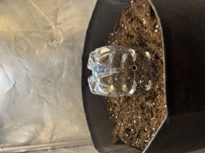 281F57CC-6BD1-4709-A0A8-57A7C7FDEC3F.jpeg 281F57CC-6BD1-4709-A0A8-57A7C7FDEC3F.jpeg