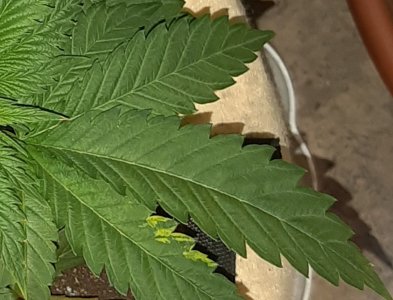 20221119_224351.jpg 20221119_224351.jpg