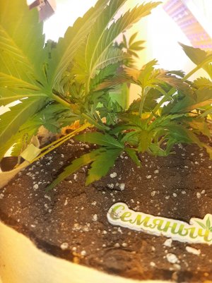 20221120_114142.jpg 20221120_114142.jpg