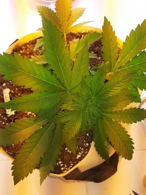 20221120_114125.jpg 20221120_114125.jpg