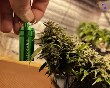 7E9D07ED-3183-4B48-9948-5545C341F023.jpeg 7E9D07ED-3183-4B48-9948-5545C341F023.jpeg