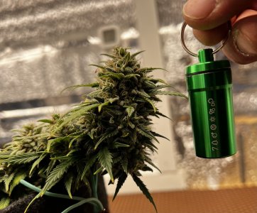 E9E17FD4-C922-4AF7-B0B2-89CEE3AE0A13.jpeg E9E17FD4-C922-4AF7-B0B2-89CEE3AE0A13.jpeg