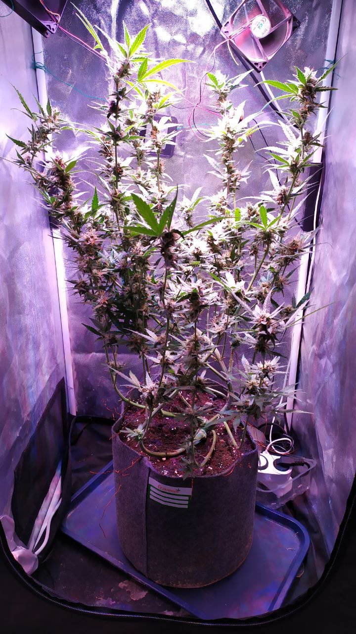 photo_2022-11-20_11-40-46 (5).jpg