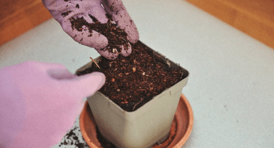 1669224868893.png 1669224868893.png