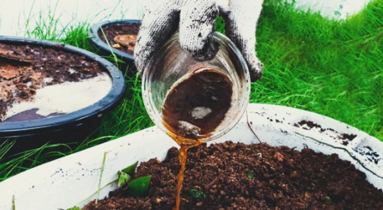 1669224913959.png 1669224913959.png