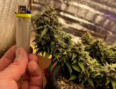 3FD2FBC6-DB8F-4DBE-8ADE-DE7BAF84C42F.jpeg 3FD2FBC6-DB8F-4DBE-8ADE-DE7BAF84C42F.jpeg