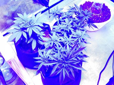 IMG_20221126_003046_773.jpg IMG_20221126_003046_773.jpg