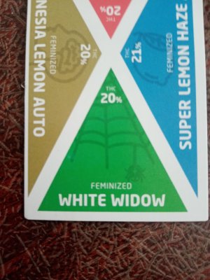 IMG_20221126_103834.jpg IMG_20221126_103834.jpg