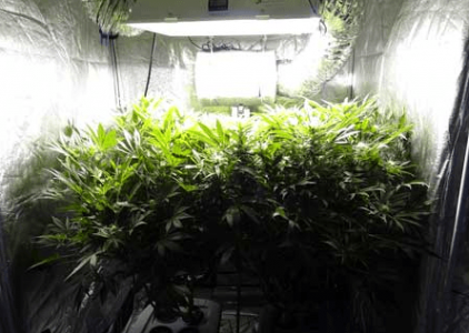 1669548332949.png 1669548332949.png