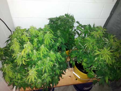 1669548410177.png 1669548410177.png