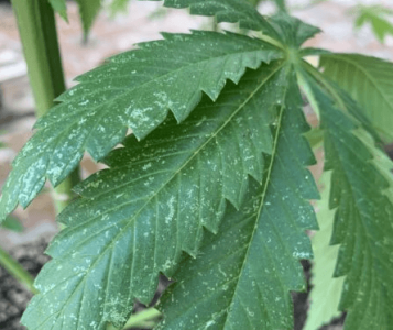 1669548612381.png 1669548612381.png