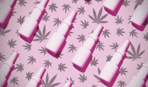 1669566459252.png 1669566459252.png