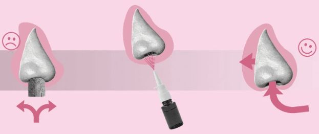 1669566528483.png 1669566528483.png