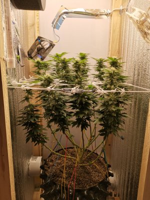 IMG_20221128_104213.jpg IMG_20221128_104213.jpg