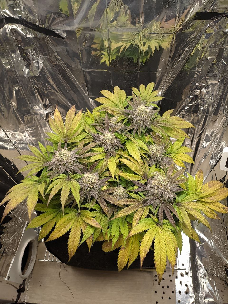 4 — копия.jpg