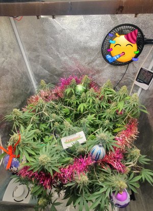 20221202_192420.jpg 20221202_192420.jpg