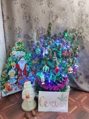 IMG_20221203_153715.jpg IMG_20221203_153715.jpg