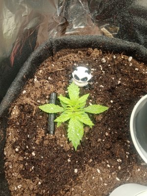 IMG_20221204_105635.jpg IMG_20221204_105635.jpg