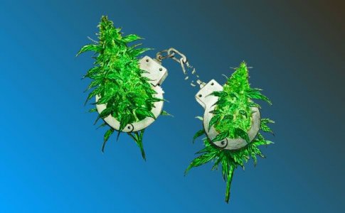 Насколько легальна деятельность сидбанков? Насколько легальна деятельность сидбанков?