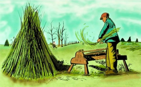 История технической конопли История технической конопли