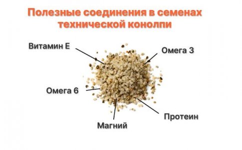 Техническая конопля и медицина Техническая конопля и медицина