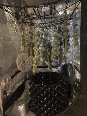 9813F229-34F7-499B-B493-9249CFE937FB.jpeg 9813F229-34F7-499B-B493-9249CFE937FB.jpeg