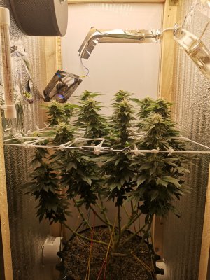 IMG_20221205_172604.jpg IMG_20221205_172604.jpg