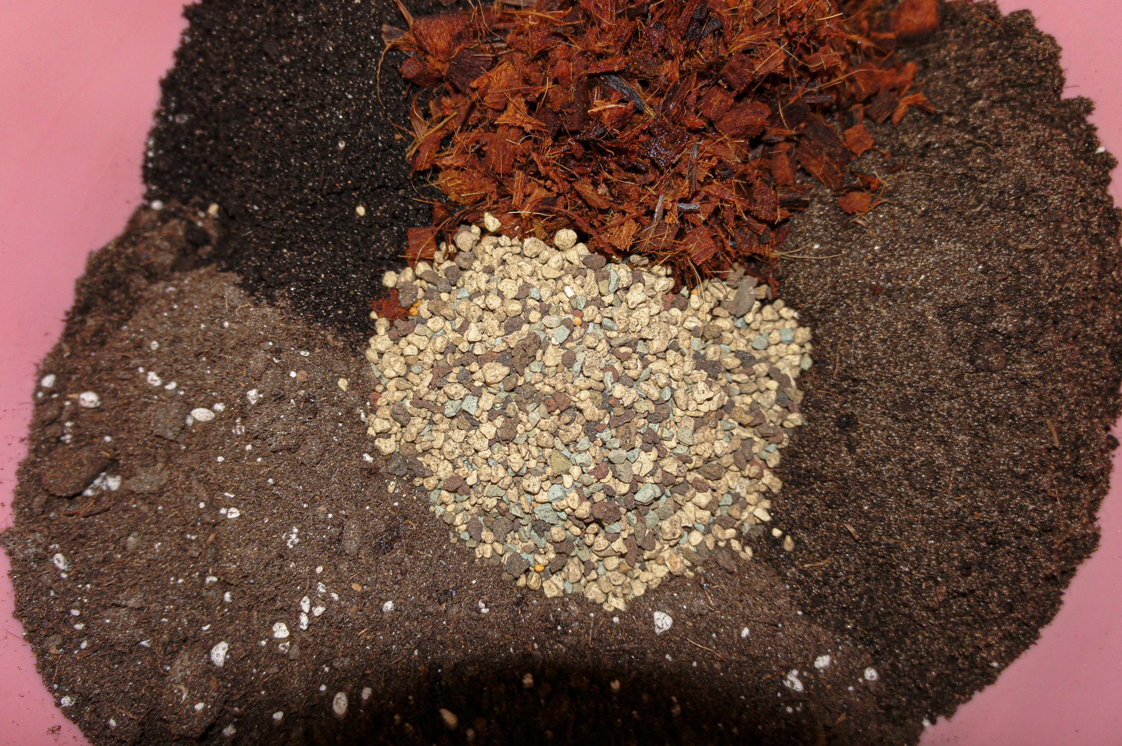 untitled copy.jpg untitled copy.jpg