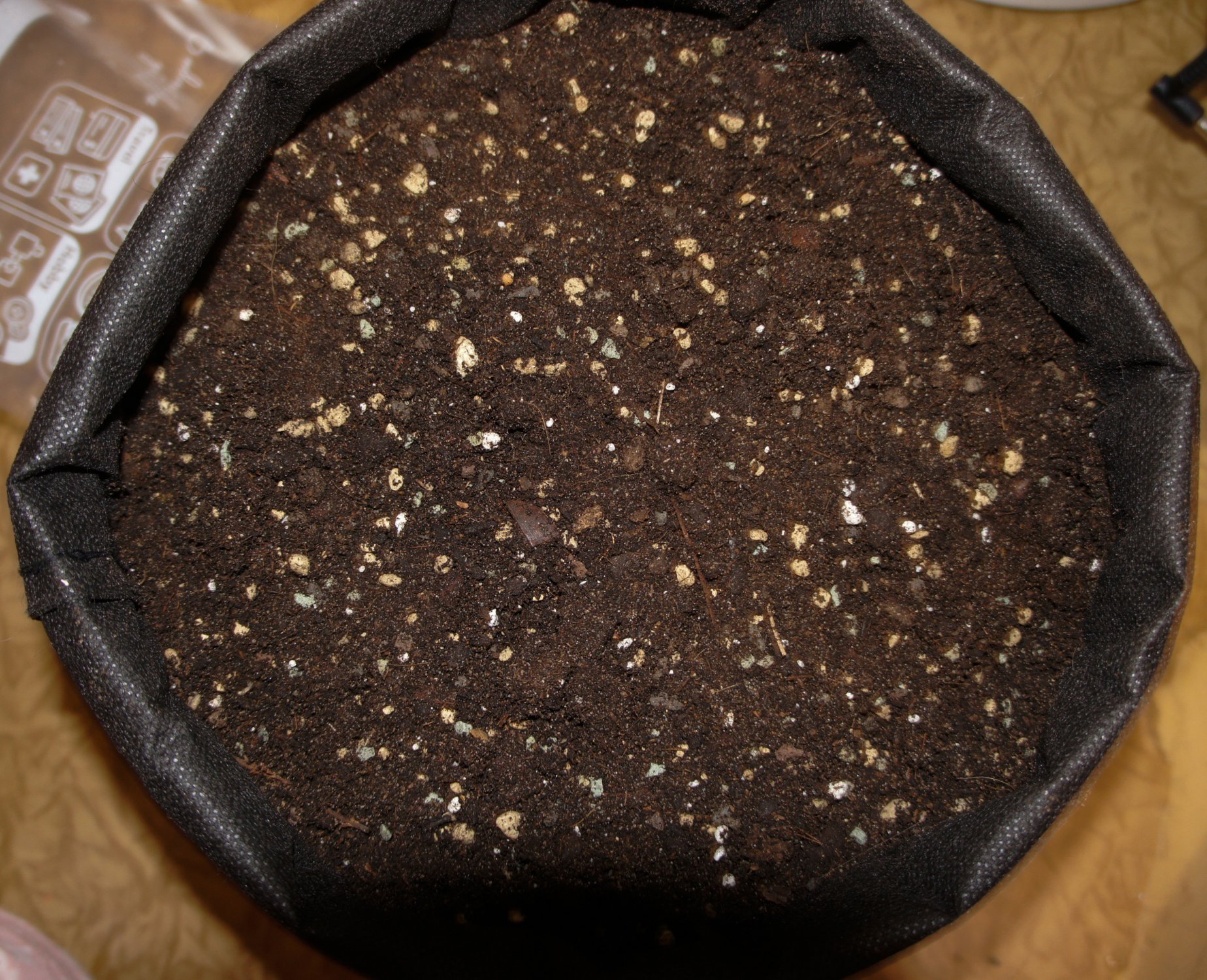 untitled-2 copy.jpg untitled-2 copy.jpg