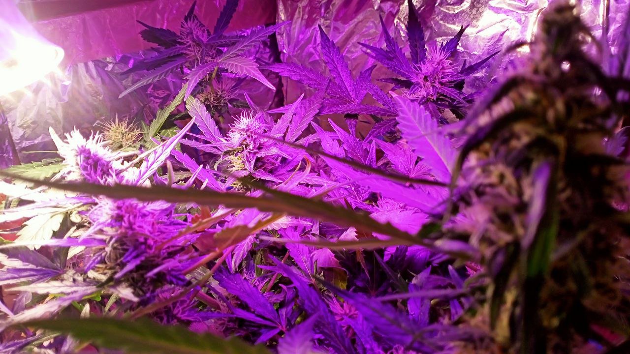 photo_2022-11-30_14-02-59.jpg photo_2022-11-30_14-02-59.jpg