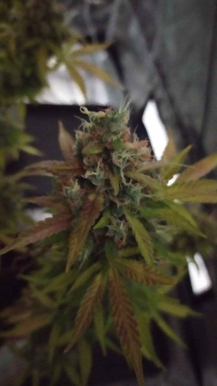 photo_2022-12-09_16-20-11 (2).jpg