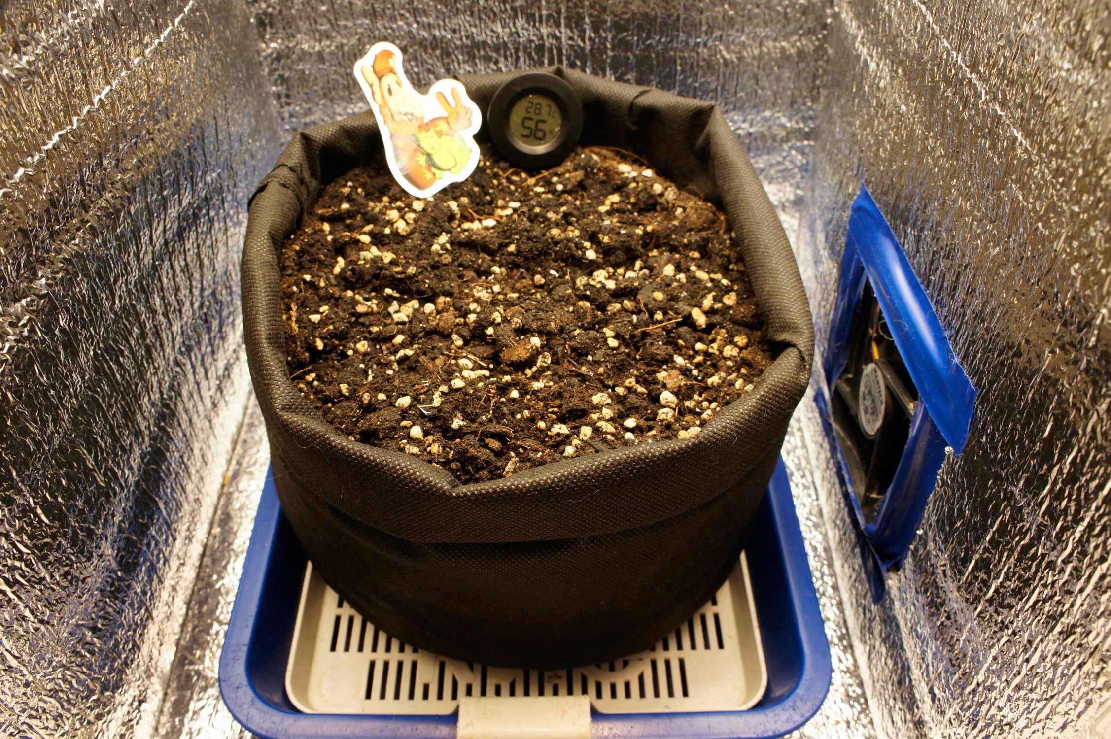 апро-3.jpg апро-3.jpg