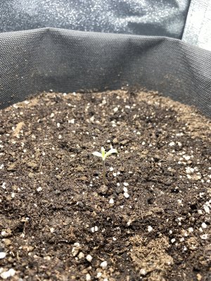 A33DFC3E-6453-4D0D-926D-256E1CD62BB8.jpeg A33DFC3E-6453-4D0D-926D-256E1CD62BB8.jpeg