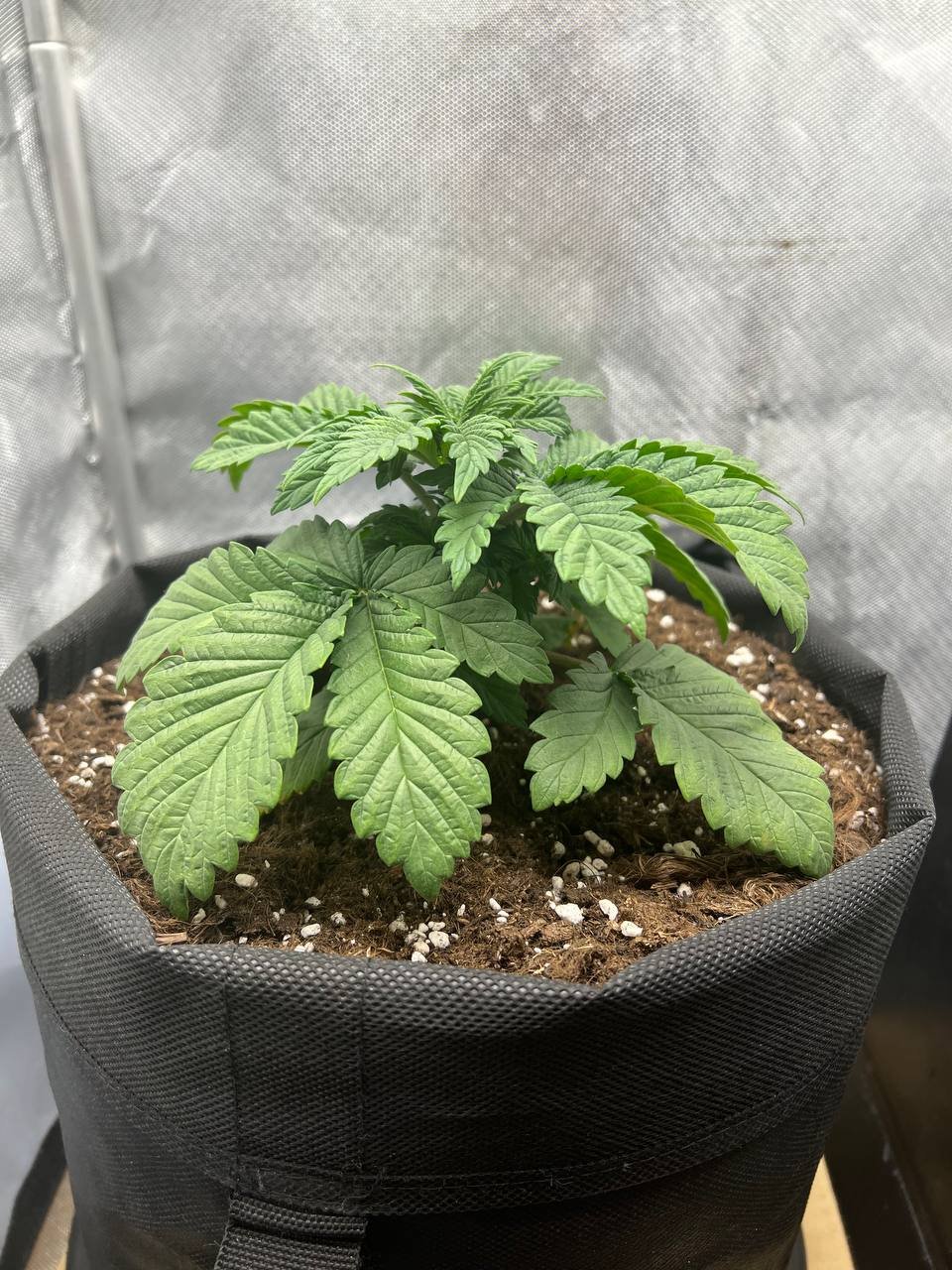 2C564AFB-1593-421B-A272-90E1326122AB.jpeg 2C564AFB-1593-421B-A272-90E1326122AB.jpeg