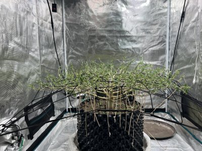 EEDB1792-AB2C-40AD-BF62-E15BF4461A2A.jpeg EEDB1792-AB2C-40AD-BF62-E15BF4461A2A.jpeg