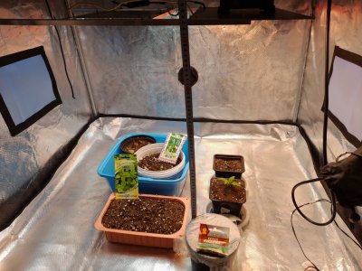 20221209_112644.jpg 20221209_112644.jpg