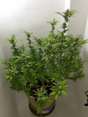 20221212_144902.jpg 20221212_144902.jpg