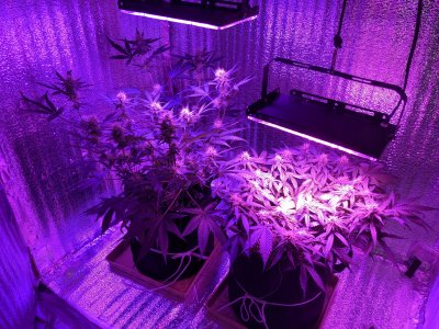 PXL_20221212_151357741.jpg PXL_20221212_151357741.jpg