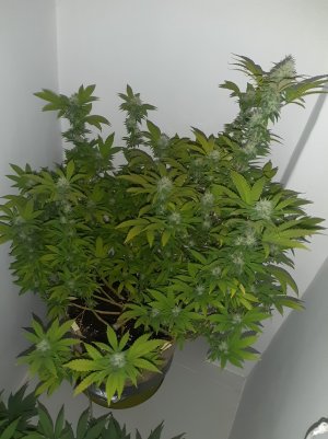 20221213_101802.jpg 20221213_101802.jpg