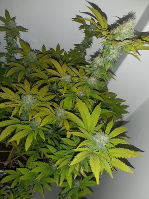 20221213_101604.jpg 20221213_101604.jpg