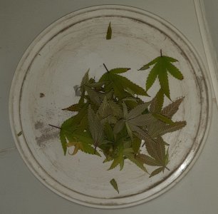 20221213_104508.jpg 20221213_104508.jpg