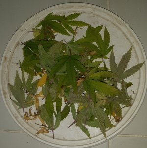 20221213_131245.jpg 20221213_131245.jpg