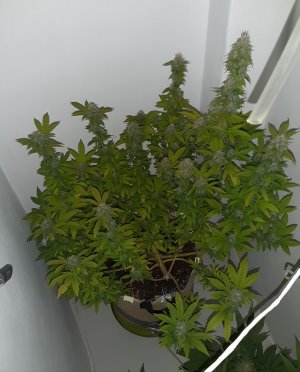 20221213_132625.jpg 20221213_132625.jpg