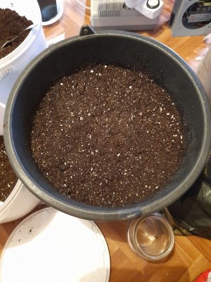 20221213_200103.jpg 20221213_200103.jpg