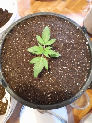 20221213_202134.jpg 20221213_202134.jpg