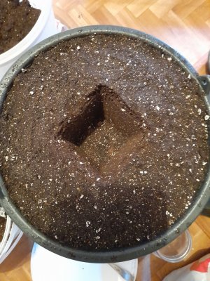 20221213_202210.jpg 20221213_202210.jpg