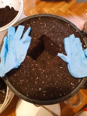 20221213_202315.jpg 20221213_202315.jpg