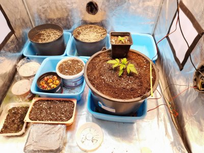 20221213_211050.jpg 20221213_211050.jpg