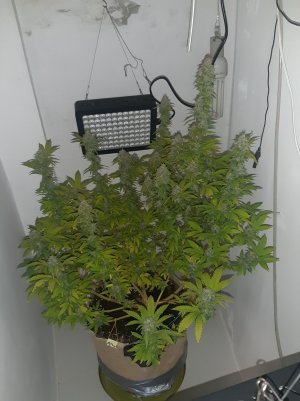 20221214_103446.jpg 20221214_103446.jpg