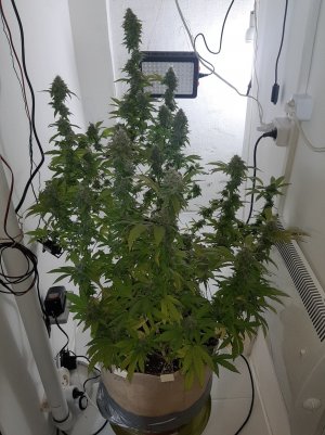 20221214_103351.jpg 20221214_103351.jpg